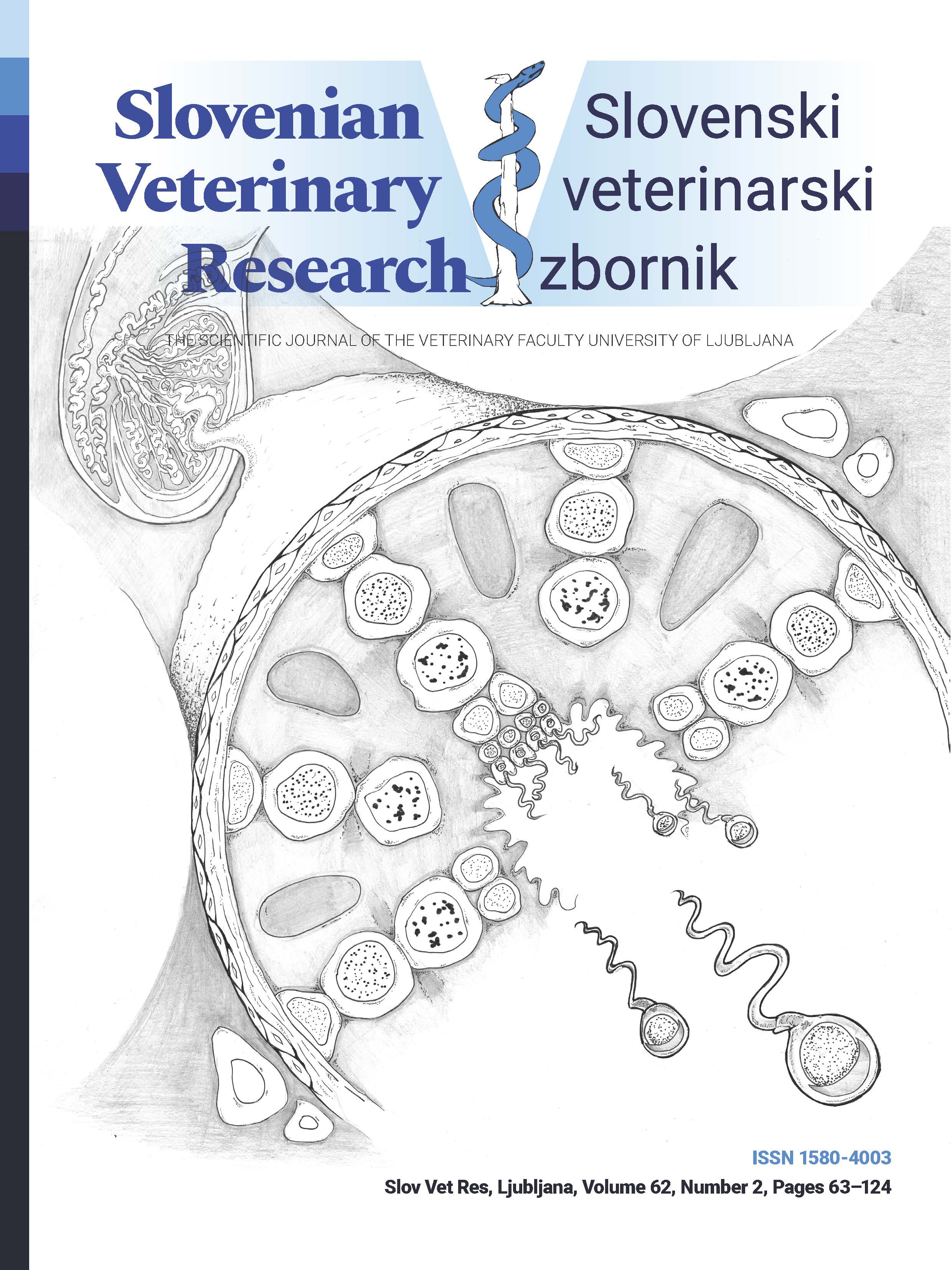 					View Vol. 62 No. 2 (2025)
				